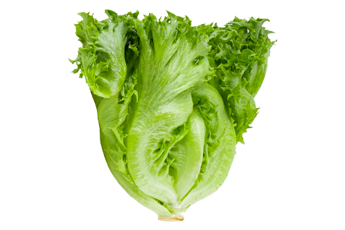 Whole Foods Market, Romaine Hearts Salad Bag Organic